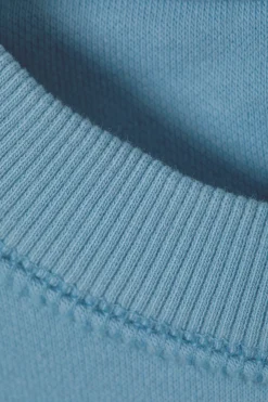 Weekday ESSENCE STANDARD SWEATSHIRT washed light blue Clearance